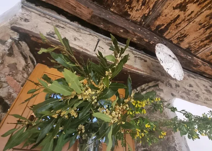 Pace Attraverso Gli Occhi