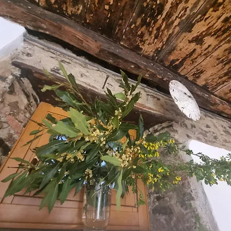 Pace Attraverso Gli Occhi