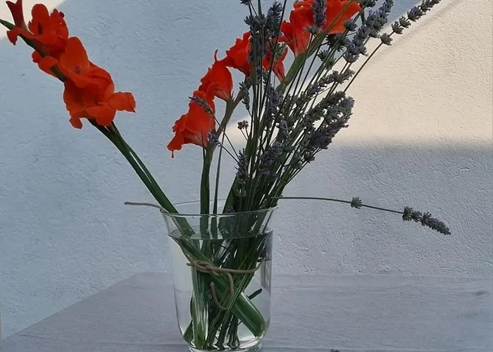 Pace Attraverso Gli Occhi Πανσιόν