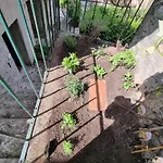 Pensión Pace Attraverso Gli Occhi 3*