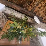 Pace Attraverso Gli Occhi