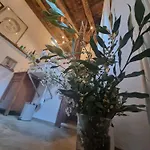 Πανσιόν Pace Attraverso Gli Occhi
