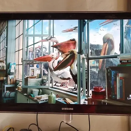 Pace Attraverso Gli Occhi 게스트하우스 페를레도