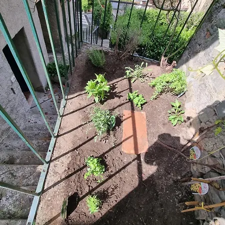 게스트하우스 Pace Attraverso Gli Occhi 3*