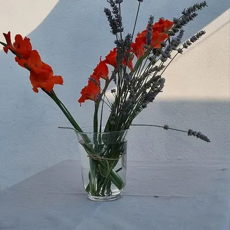 Pace Attraverso Gli Occhi 게스트하우스